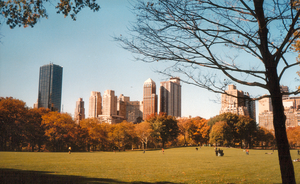 Central Park, like all parks, is an example of landscape architecture.